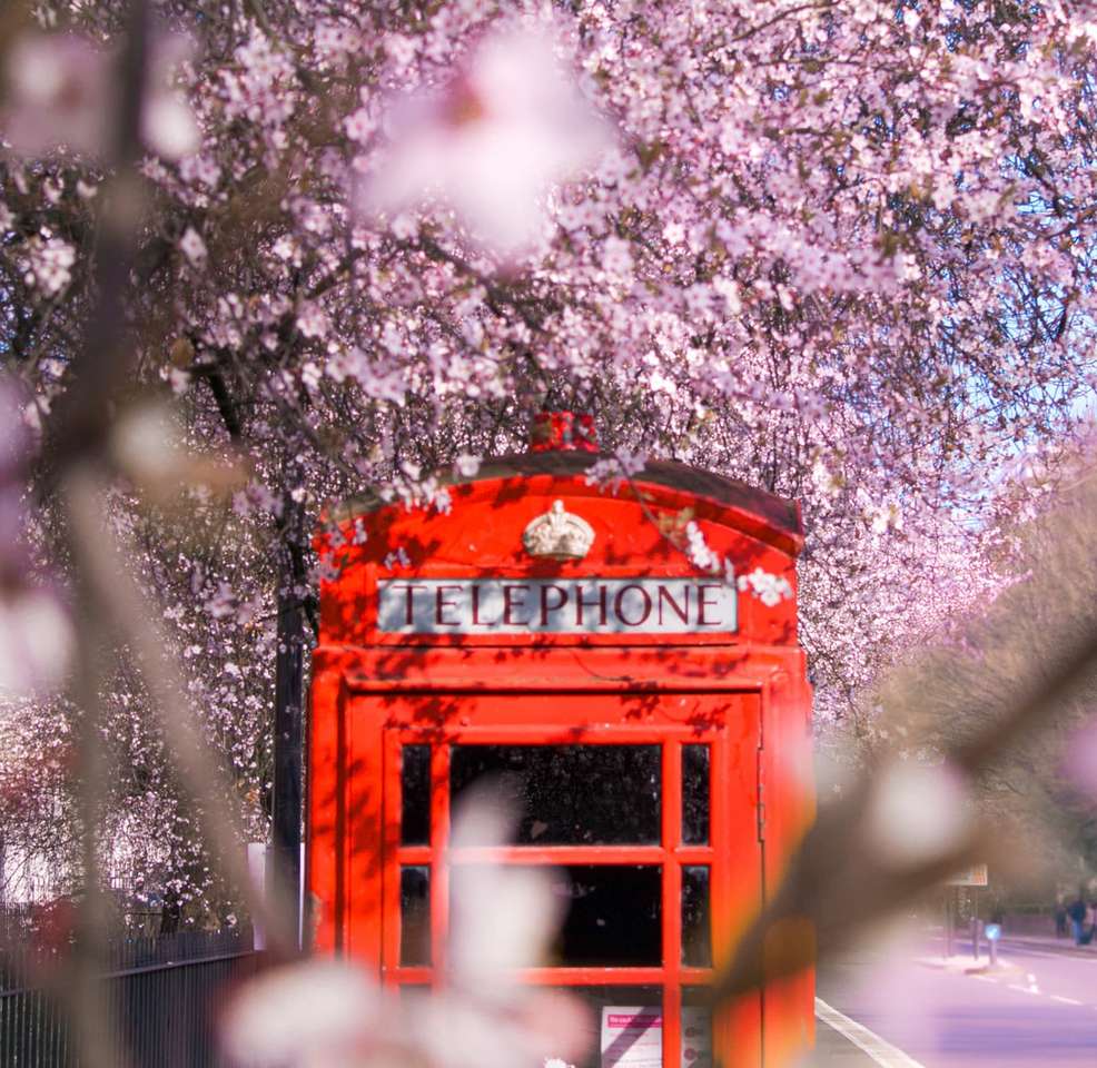 червона телефонна будка біля дерев у денний час онлайн пазл