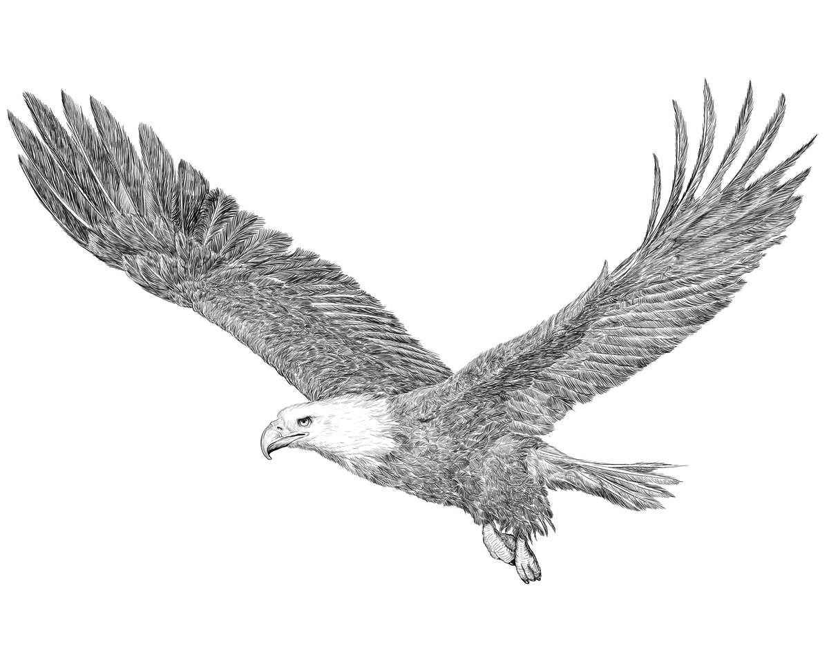 Eagle rijk aan details legpuzzel online