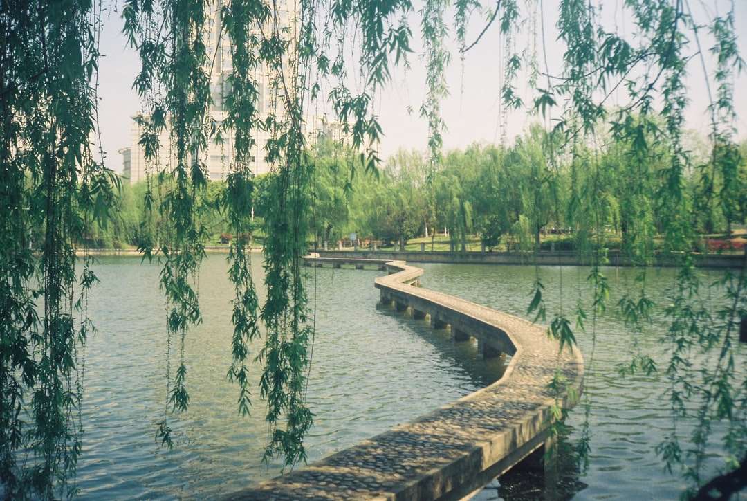 Muelle de madera marrón en el lago durante el día rompecabezas en línea