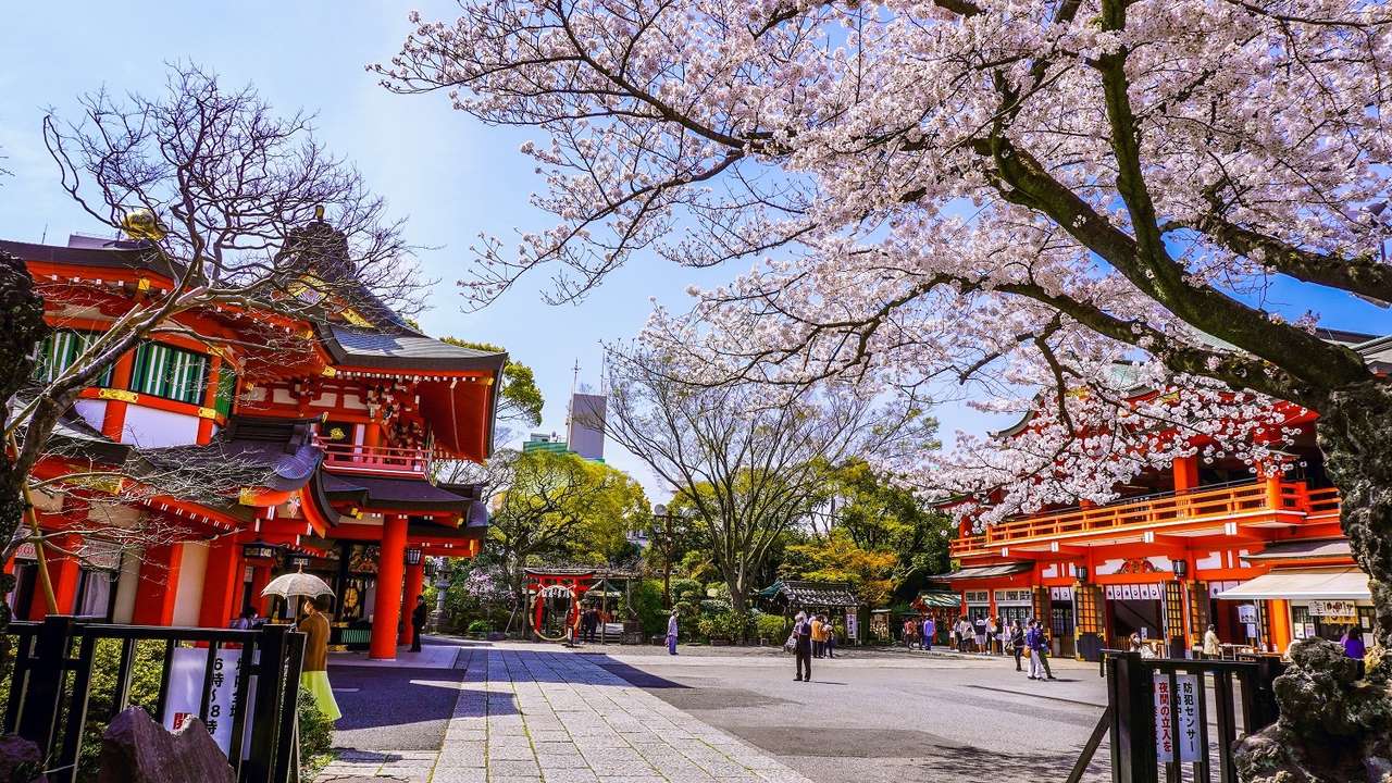 Japonia în primăvară puzzle online