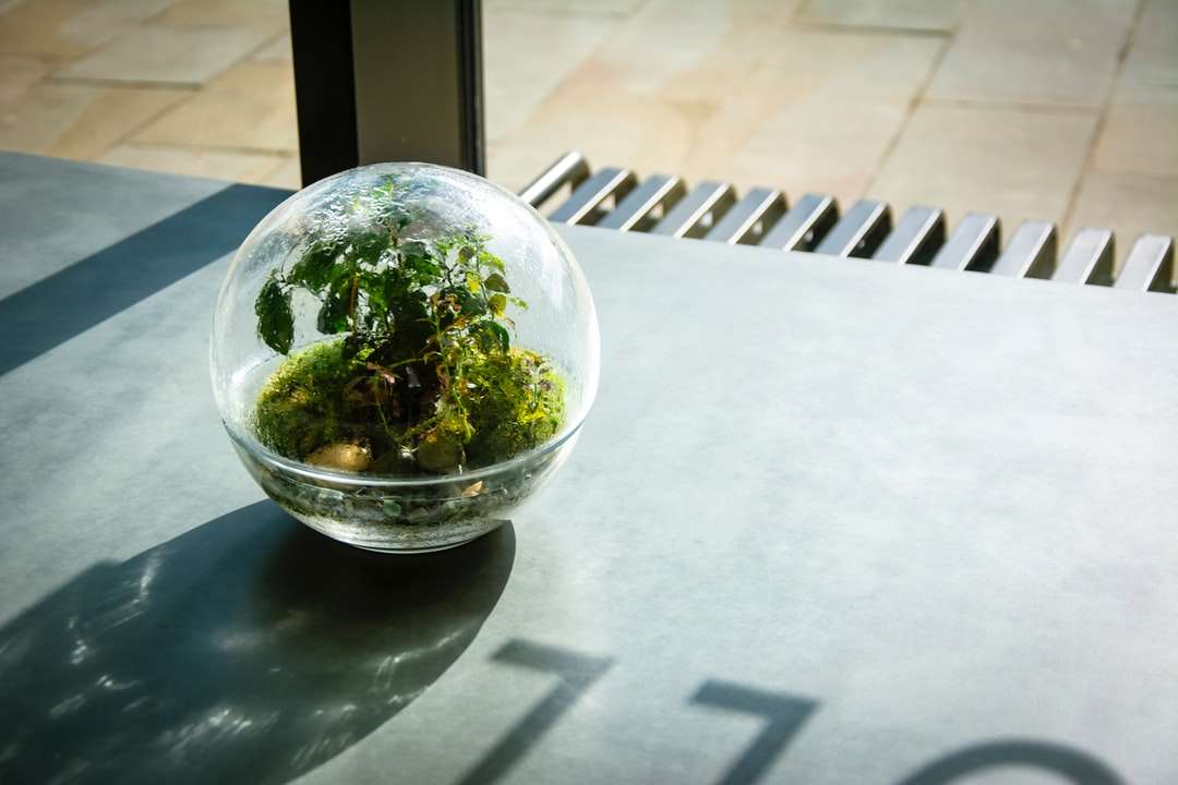 зелений куш у прозорій скляній мисці пазл онлайн