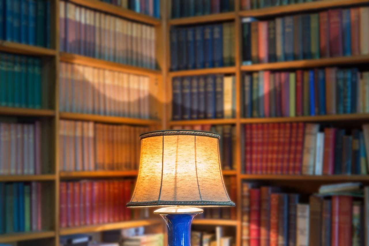 Olvasó lámpa a könyvtárban online puzzle