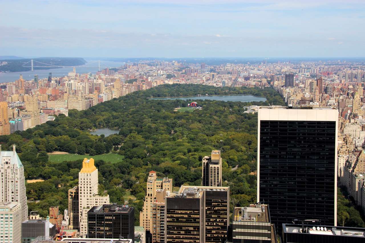 Zelená plic New Yorku online puzzle