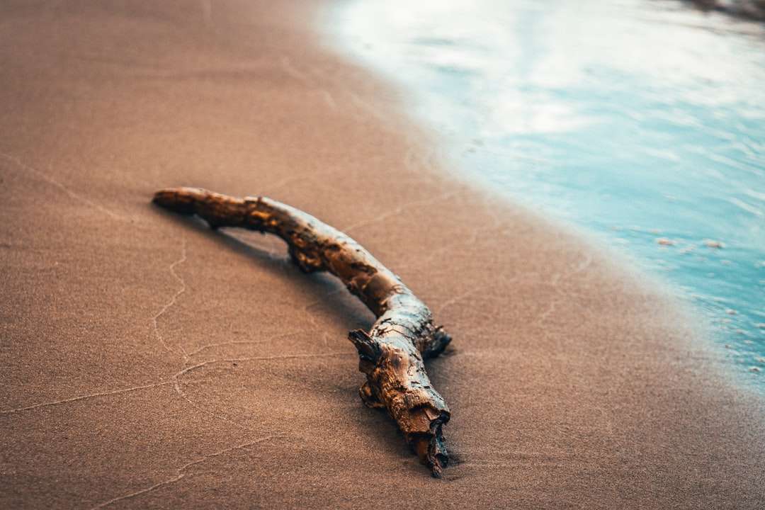 Legno marrone Log sulla sabbia marrone puzzle online