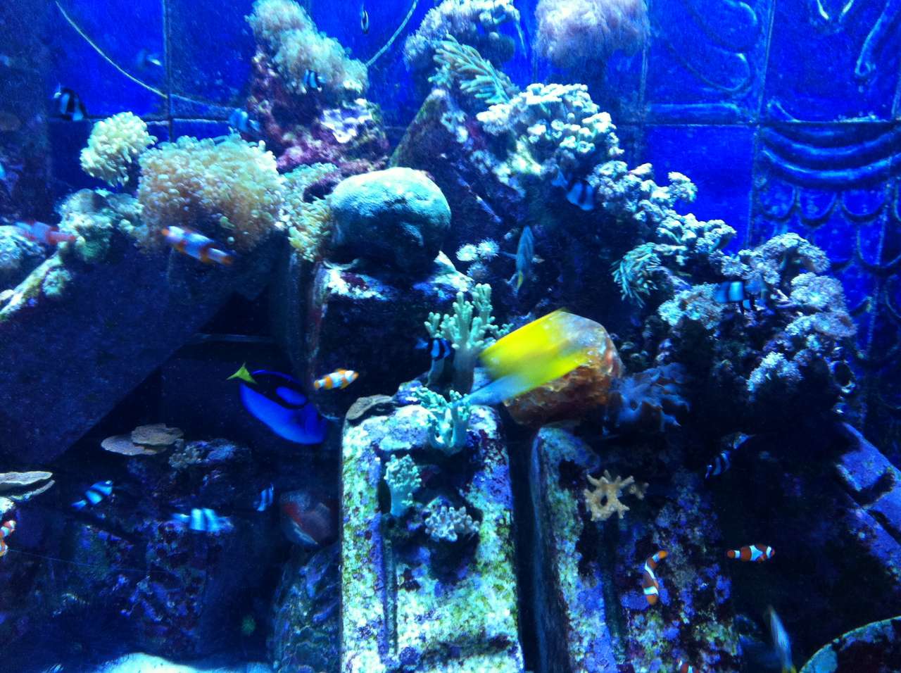 aquarium legpuzzel online