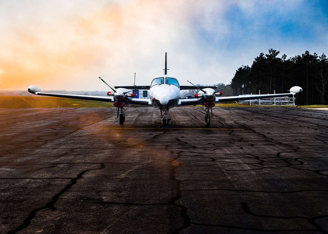 Avion alb pe câmp maro sub nori gri puzzle online