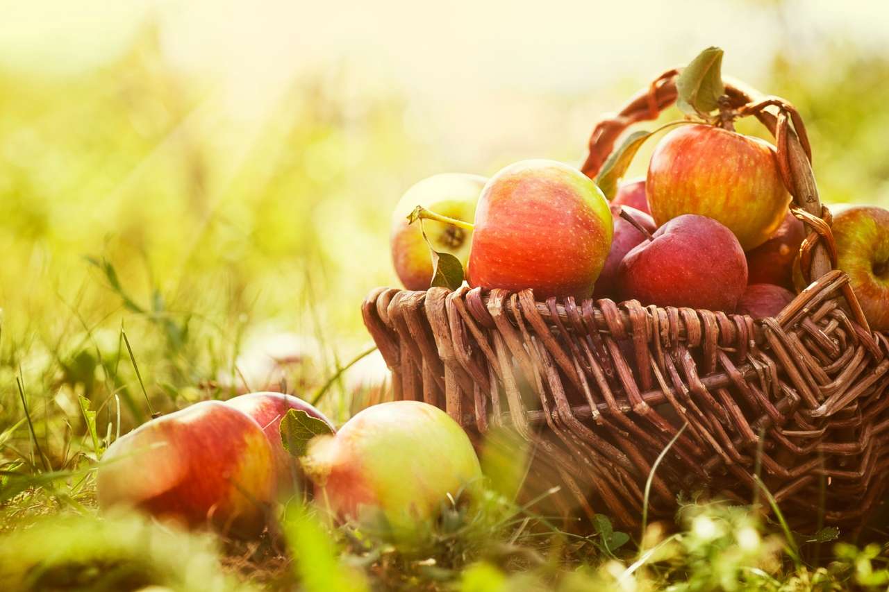 Καλάθι από πολωνικά μήλα online παζλ