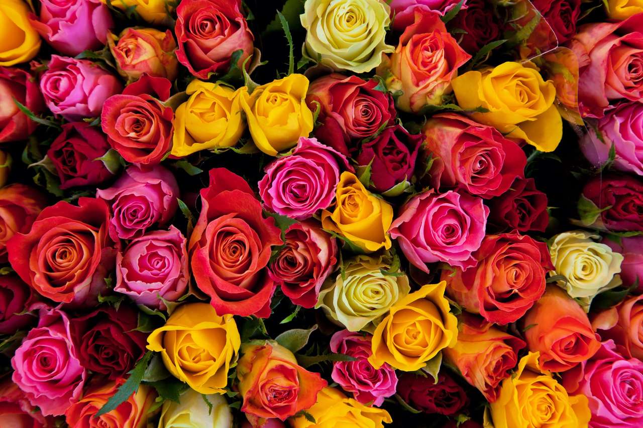 Bouquet de roses pour vous puzzle en ligne
