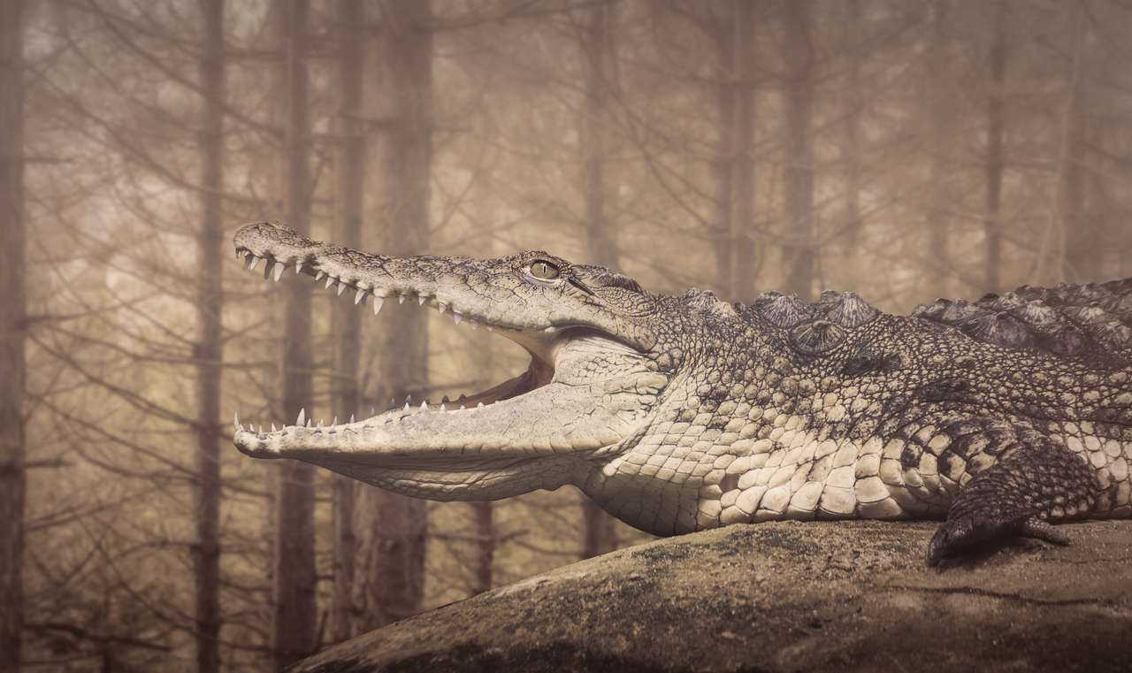 Krokodil mit offenem Mund Puzzlespiel online