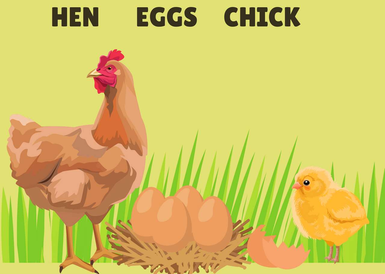 Vaječný kuřátko online puzzle