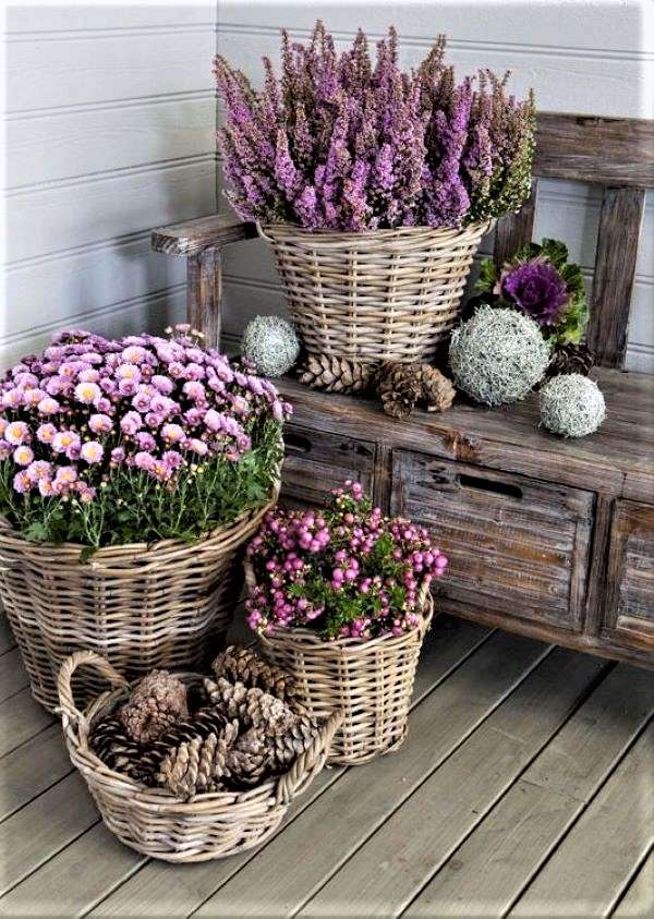 Herfst decoratie met violette planten bij het huis legpuzzel online