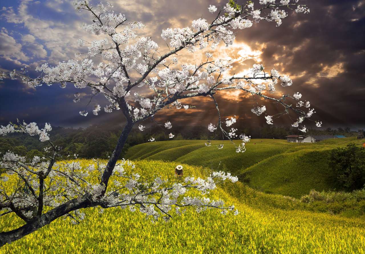 Strom s bílými květy skládačky online