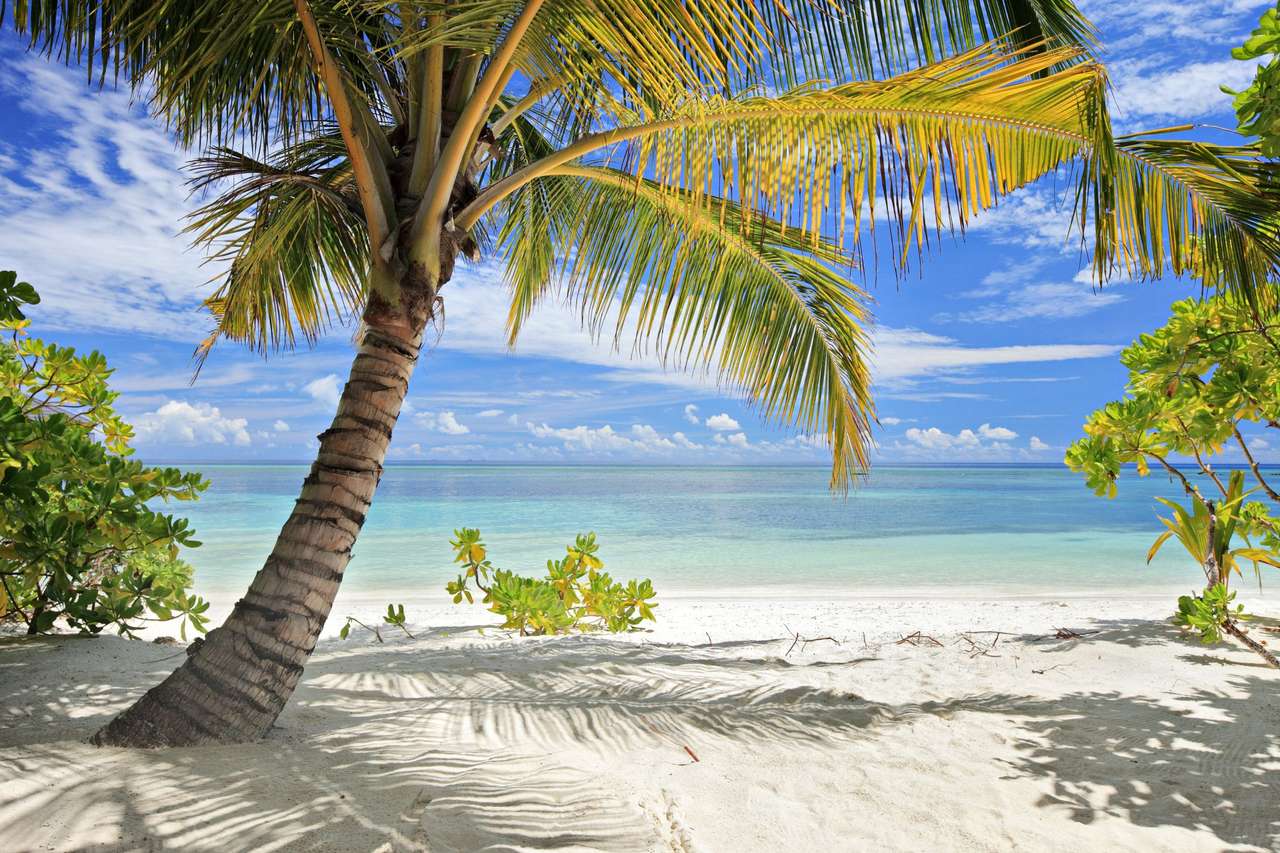 Playa en Maldivas rompecabezas en línea
