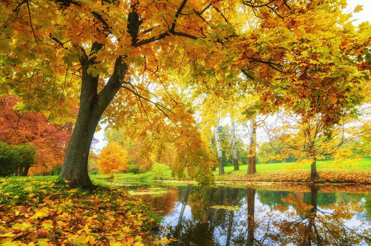 Есен в парка онлайн пъзел