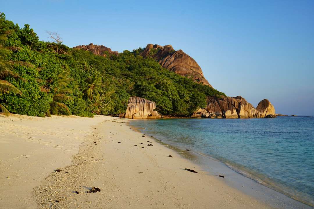 barna kőzetképződés a tengerparton nappali parton kirakós online
