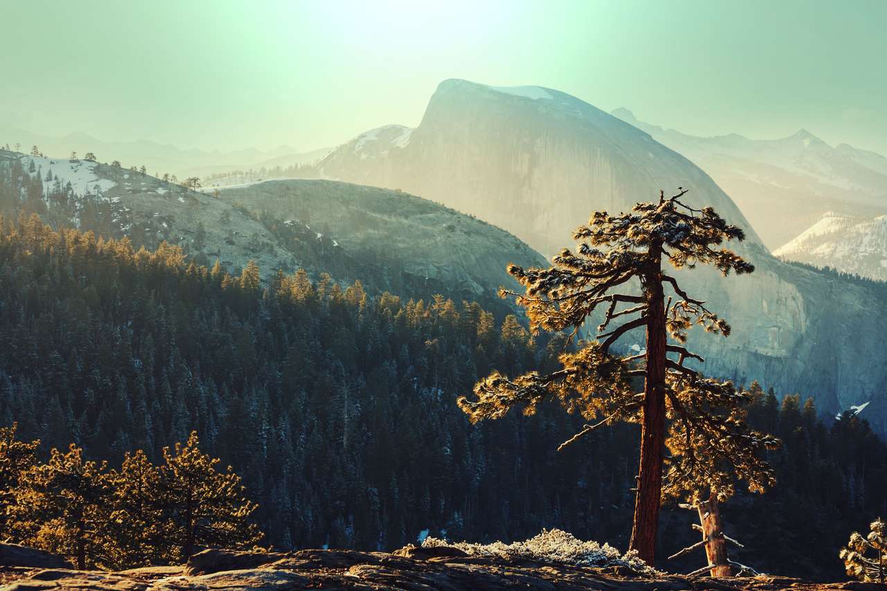 Forest and mountains jigsaw puzzle online