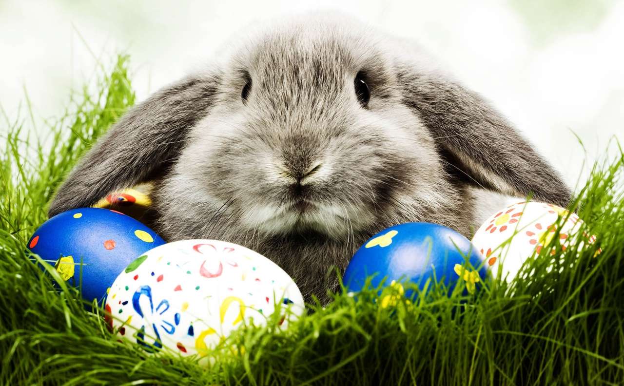 Velikonoční králík skládačky online