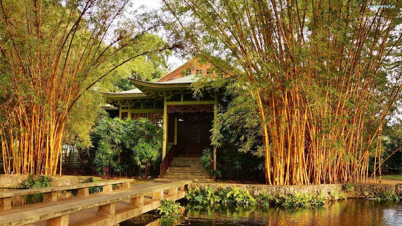 Huis bij een vijver onder bamboe legpuzzel online