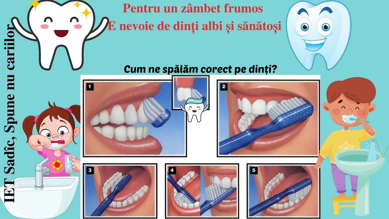 Cum ne spălăm corect pe dinţi? legpuzzel online