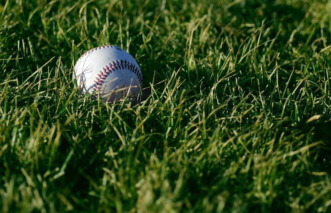 Vit baseball på grönt gräs under dagtid Pussel online