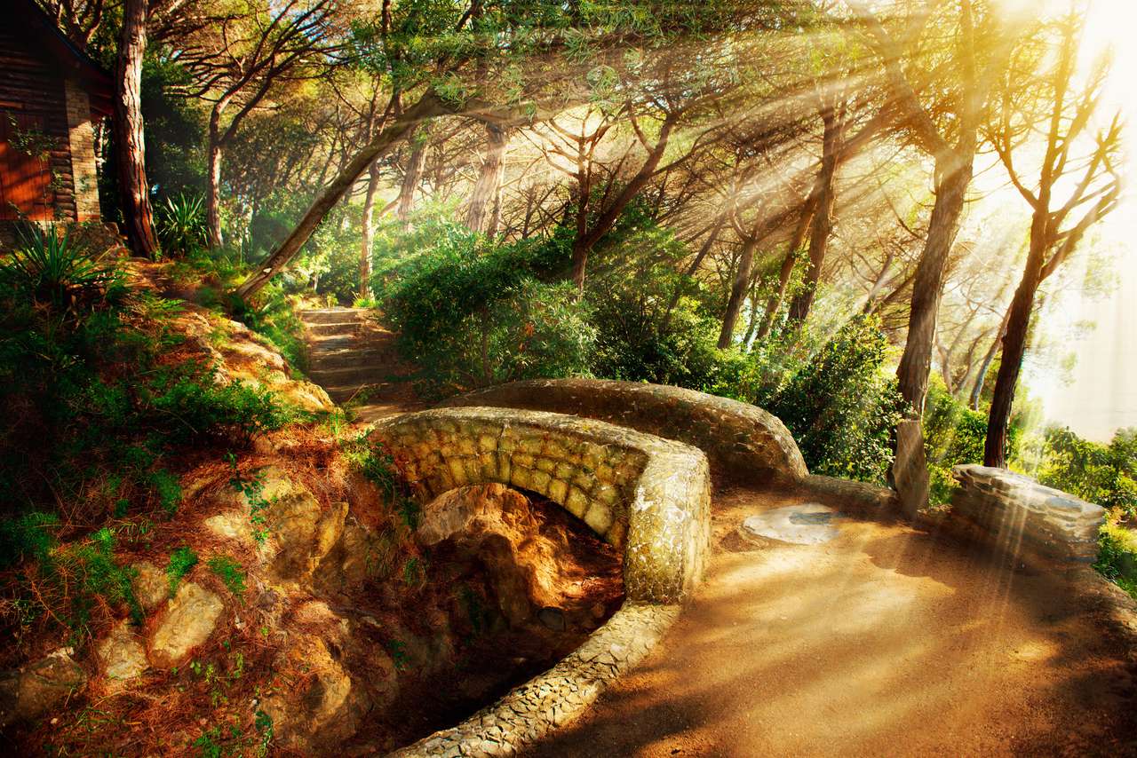 Bridge in the forest jigsaw puzzle online