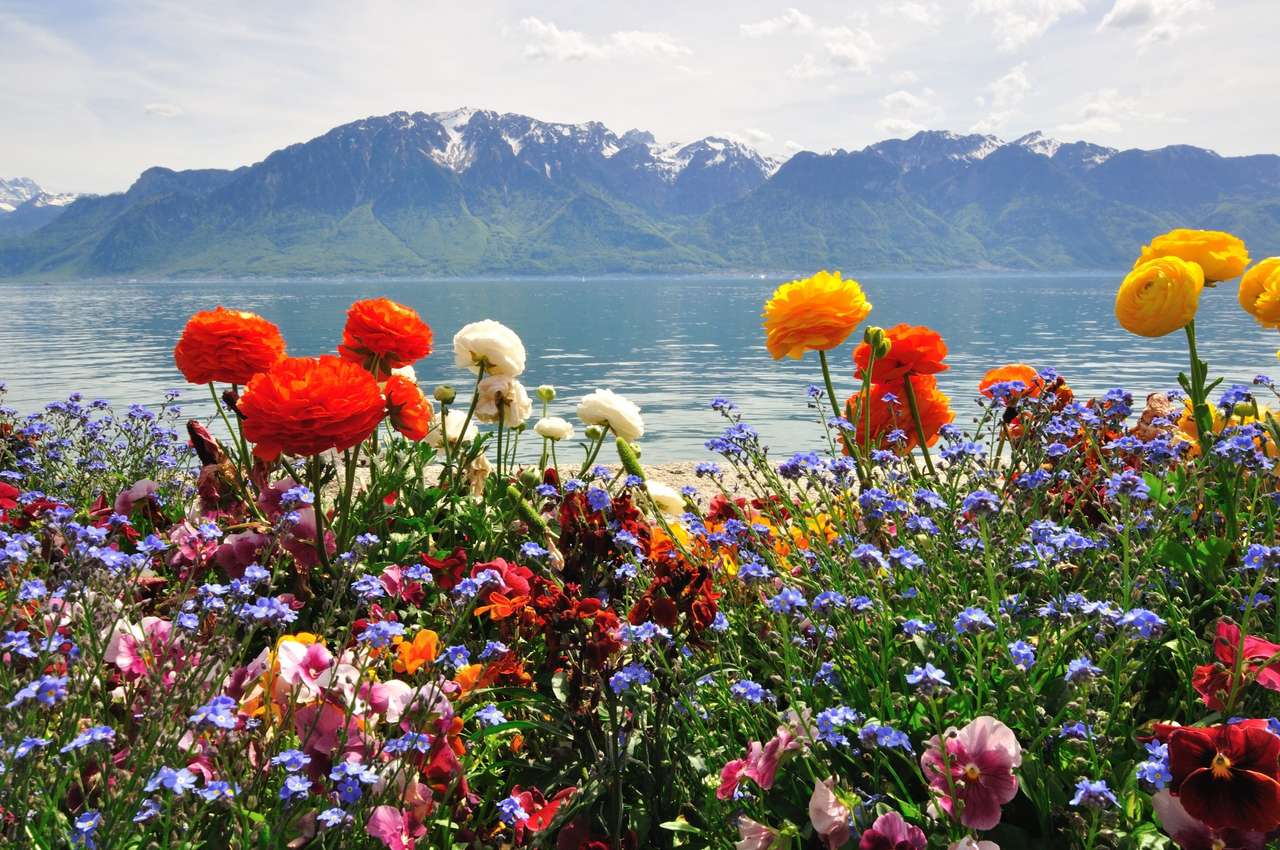 Farbenfrohe Blumen Puzzlespiel online