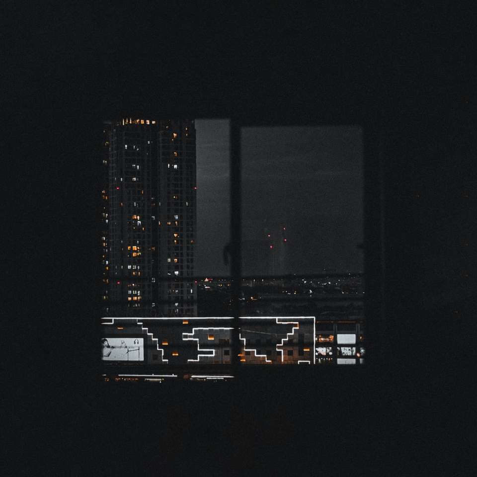 Edificios de la ciudad en blanco y negro durante la noche. rompecabezas en línea