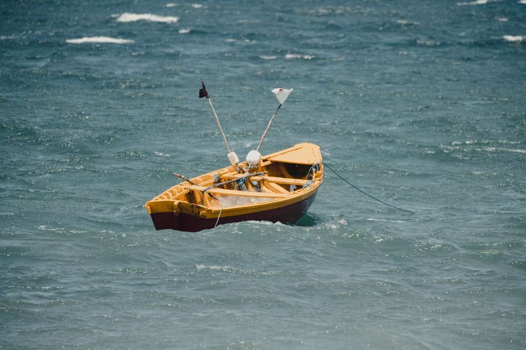 Barna és fekete csónak a víztesten napközben online puzzle