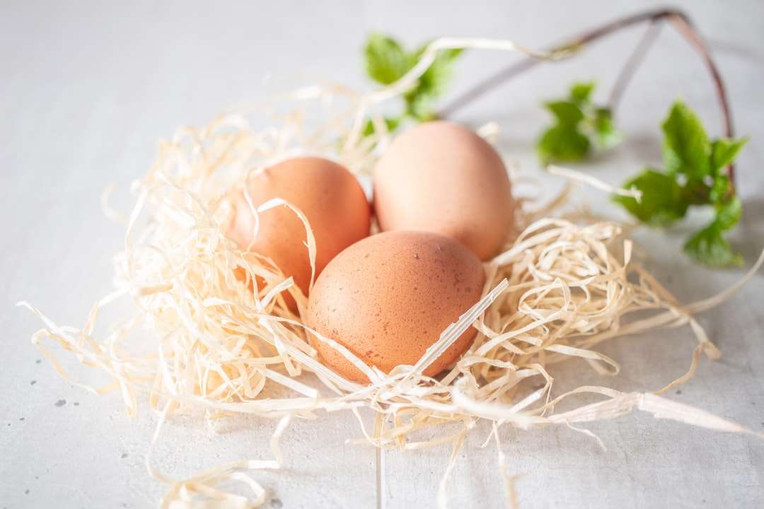 Braunes Ei auf weißem Nest Online-Puzzle