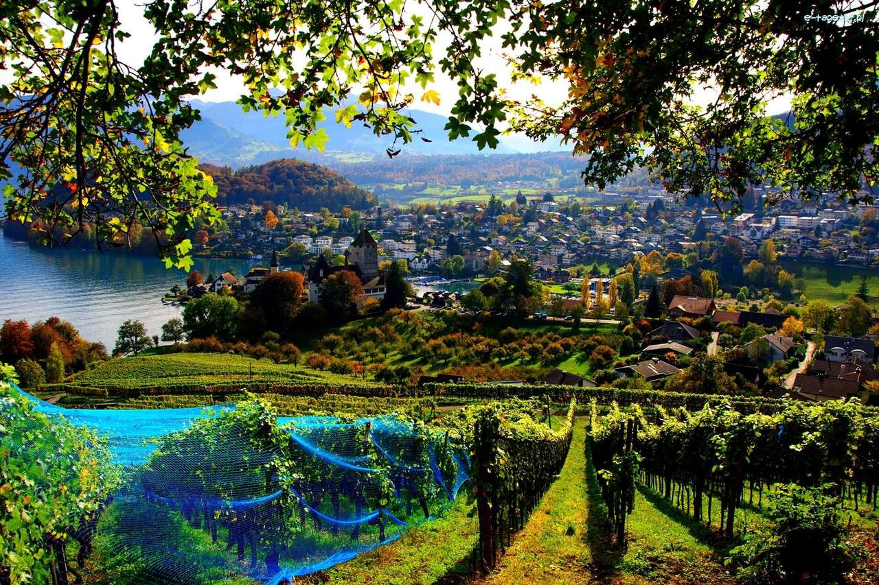Panorama der Stadt in der Schweiz Puzzlespiel online