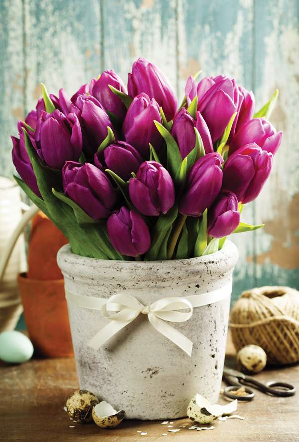 Jarní tulipány skládačky online