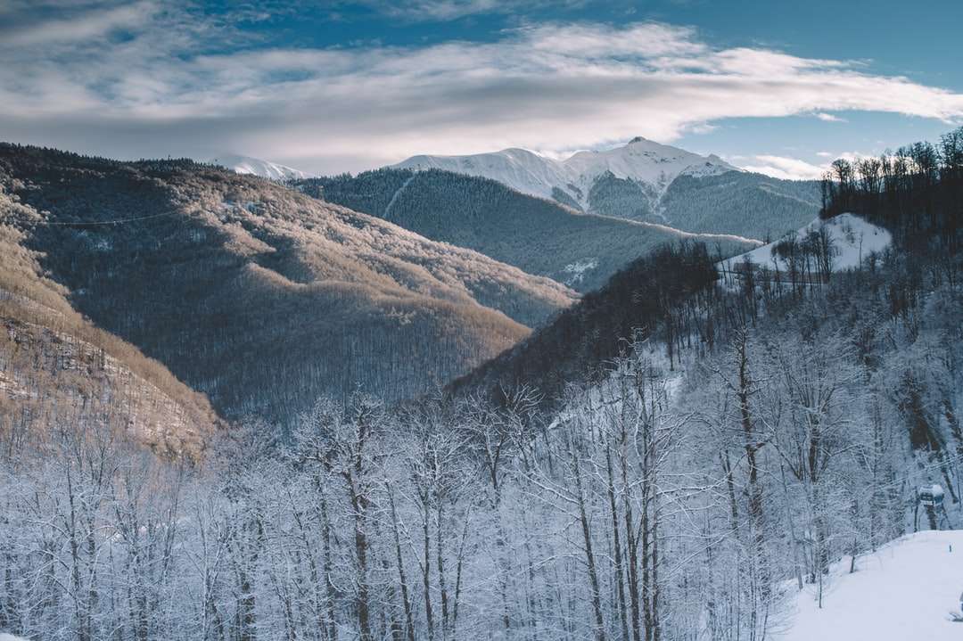 Schnee bedeckte Bäume und Berge tagsüber Puzzlespiel online