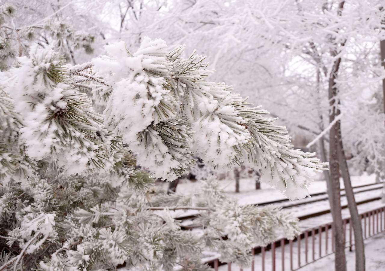 Snöiga träd Pussel online
