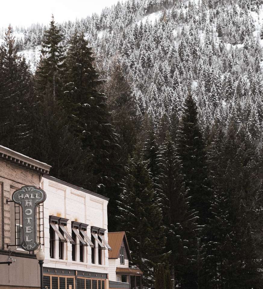 Braunes Betongebäude nahe Schnee bedeckte Kiefern Online-Puzzle