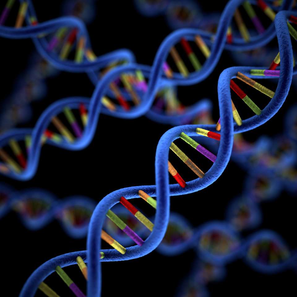 DNA-molekyl. Pussel online