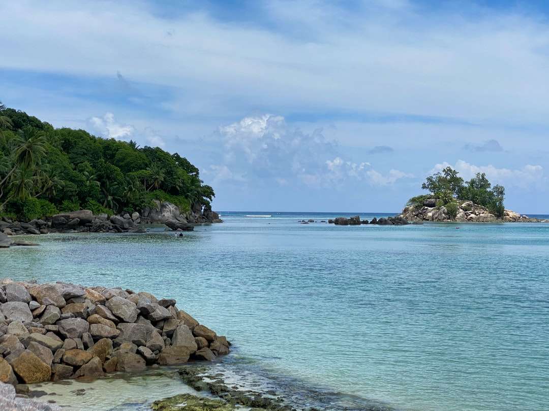 green trees on island during daytime online puzzle