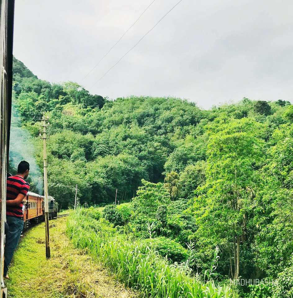 Ο άνθρωπος στέκεται στο τρένο κοντά σε δέντρα κατά τη διάρκεια της ημέρας online παζλ