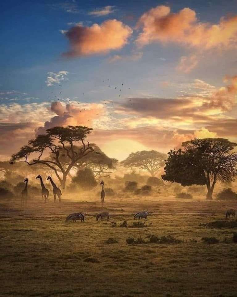 Afrique sauvage. puzzle en ligne