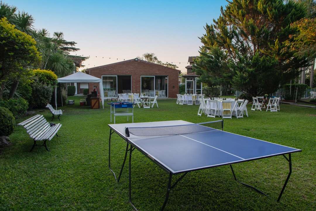 Table de tennis de table en noir et blanc sur le champ d'herbe verte puzzle en ligne