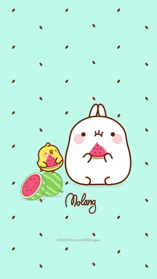 Molang the Bunny. Puzzlespiel online