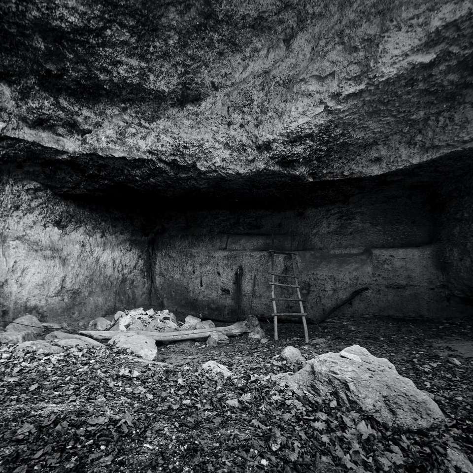 Foto en escala de grises de persona en cueva rompecabezas en línea