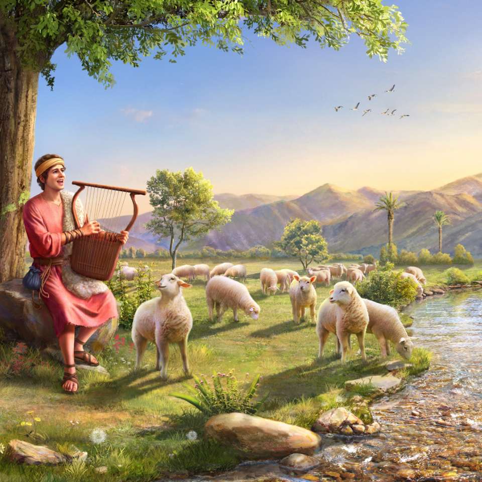 David pastore di pecore puzzle online
