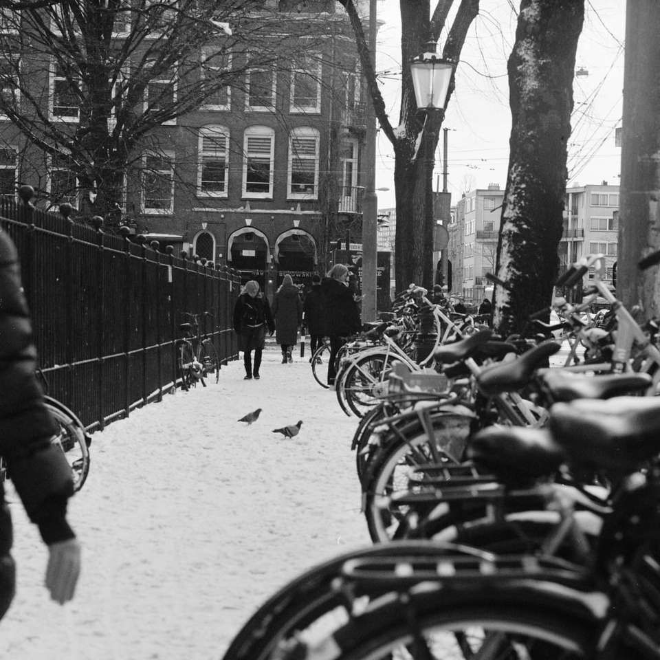 Foto de grayscale de pessoas andando de bicicletas na estrada quebra-cabeças online
