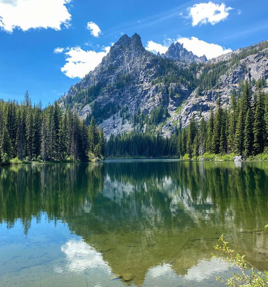 Pini de pin verde lângă lac și munte sub cerul albastru puzzle online