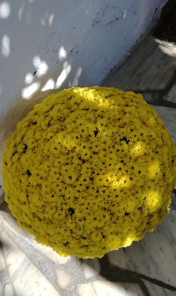 Ballon chrysanthemum puzzle en ligne