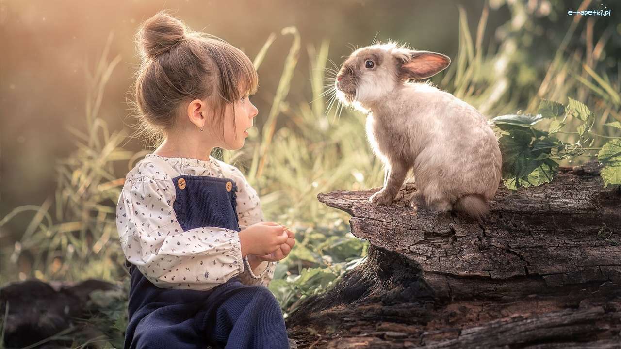 Kaninchen starrte das Mädchen an Online-Puzzle