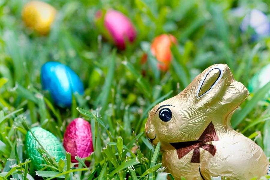 Coniglietto di cioccolato con uova per bambini puzzle online
