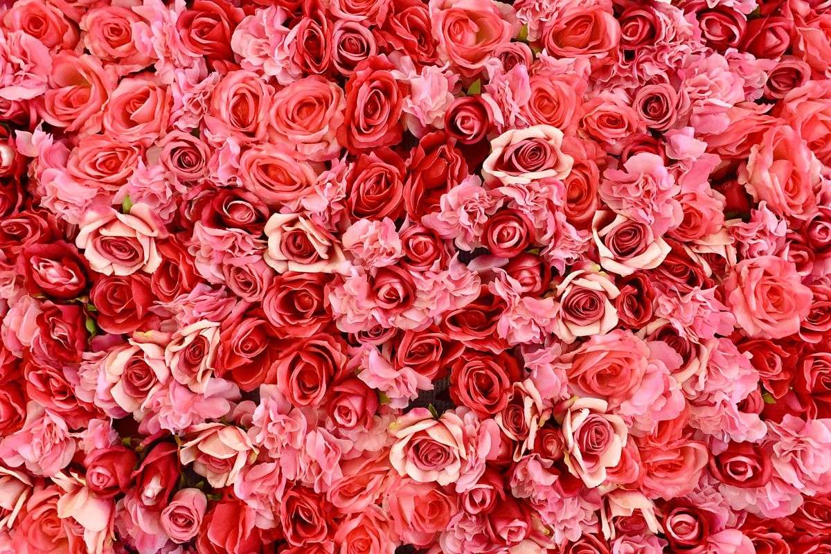 Τριαντάφυλλα παζλ online