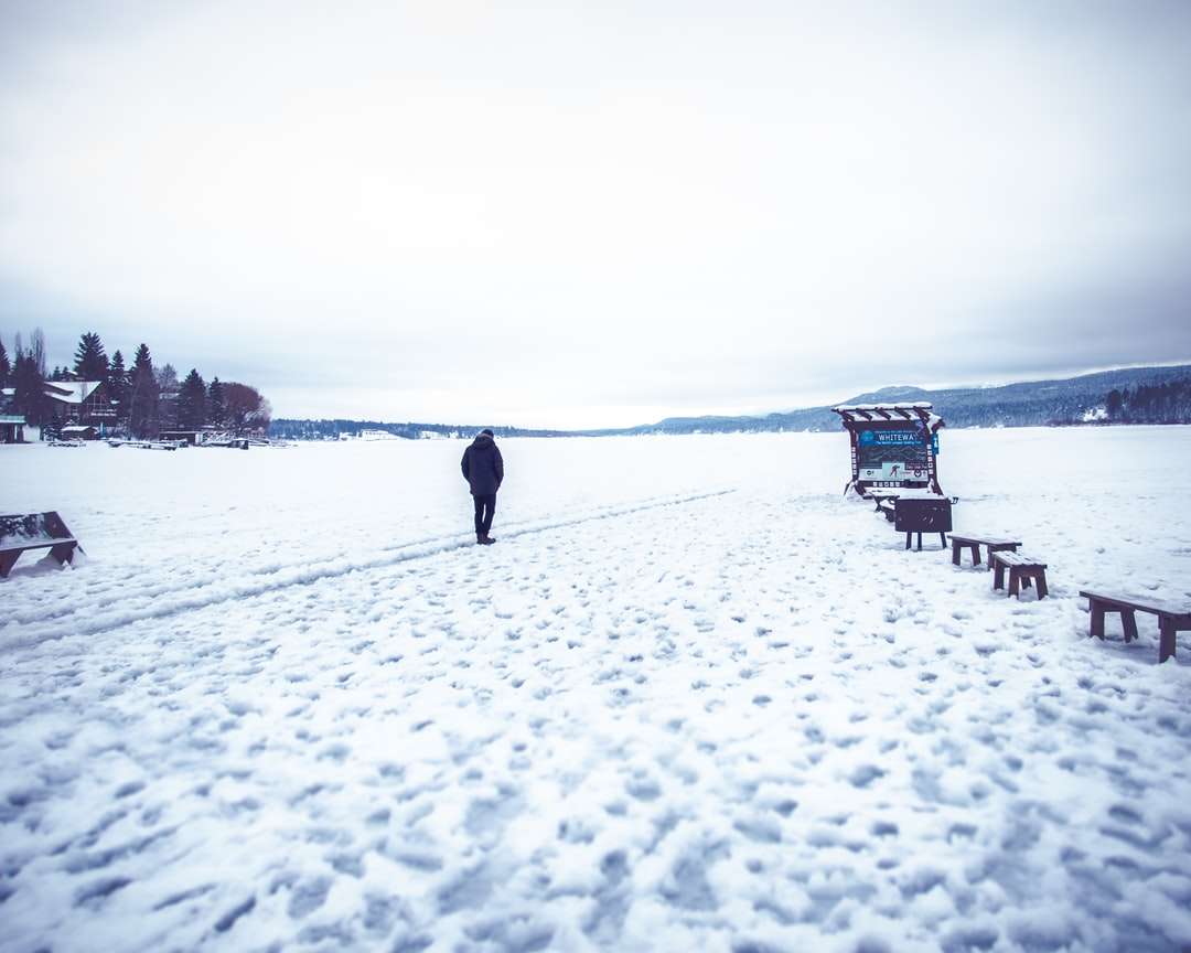 Persoana care se plimba pe terenul acoperit de zăpadă în timpul zilei puzzle online