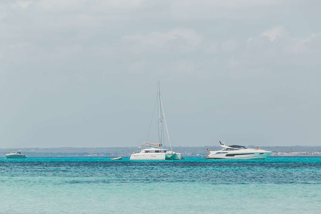 Barco branco e azul no mar sob o céu cinzento puzzle online